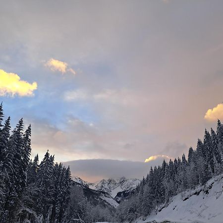 Vila Devana Tatranska Javorina Exteriör bild