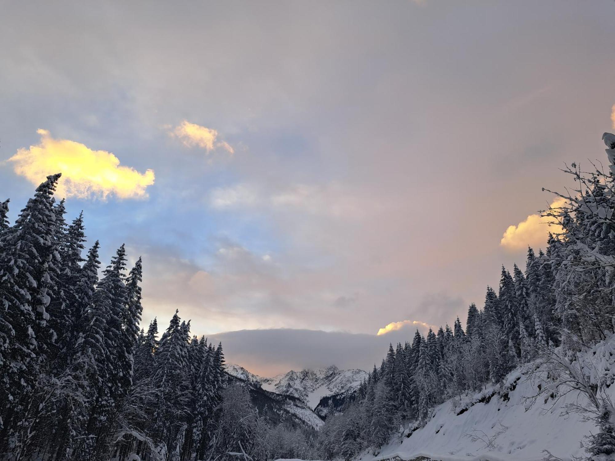 Vila Devana Tatranska Javorina Exteriör bild